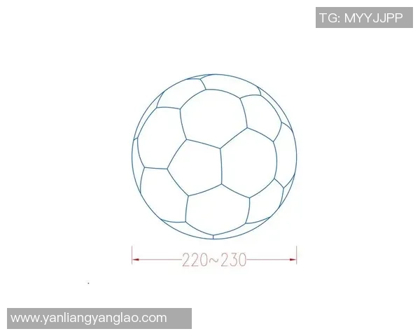 轻松学会绘制足球明星的详细步骤和技巧教程分享